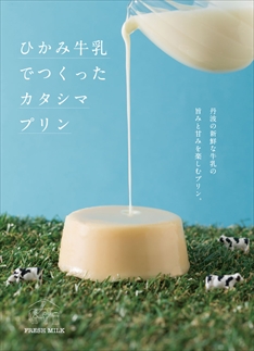 [№018-003]ひかみ牛乳とこだわり卵でつくったカタシマプリン　６個入