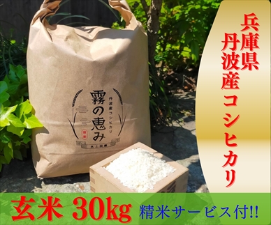 [№145-004]丹波産コシヒカリ玄米30kg
