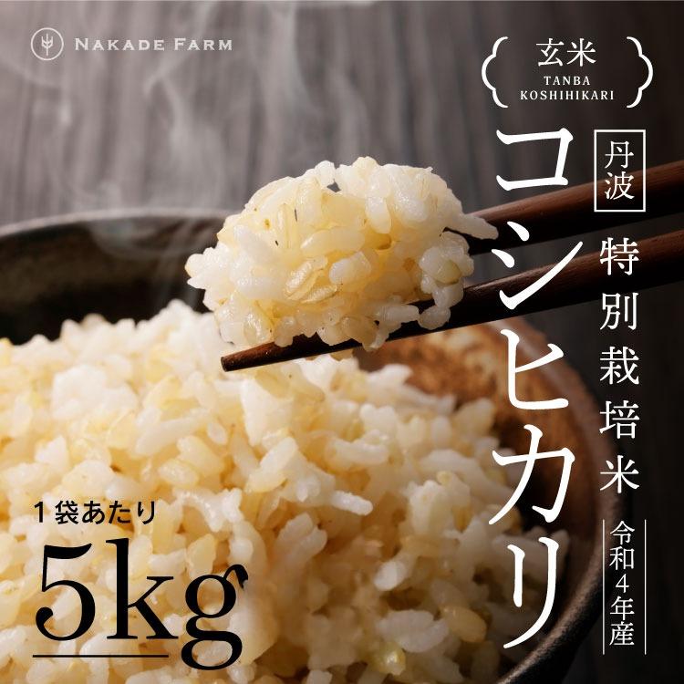 [№119-019]丹波コシヒカリ玄米5kg特栽