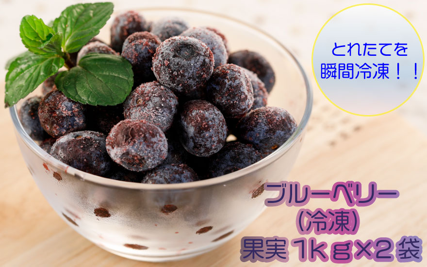 [№050-004]ブルーベリー(冷凍)果実1kg×2袋