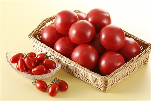 [№052-001]完熟たんばトマトの詰合せ　約2.7kg入り