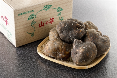 [№057-005]兵庫県丹波市産　山の芋